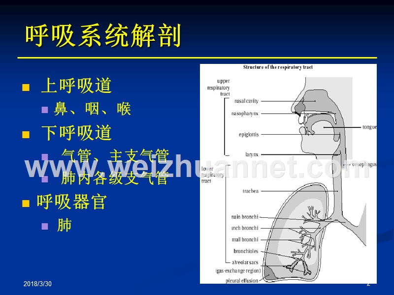 辅助呼吸技术.ppt_第2页