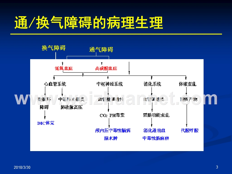 辅助呼吸技术.ppt_第3页