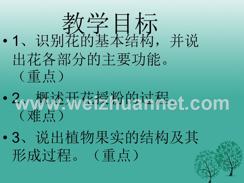 七年级生物上册 第三单元 第二章 第三节 开花和结果课件 （新版）新人教版.ppt_第2页