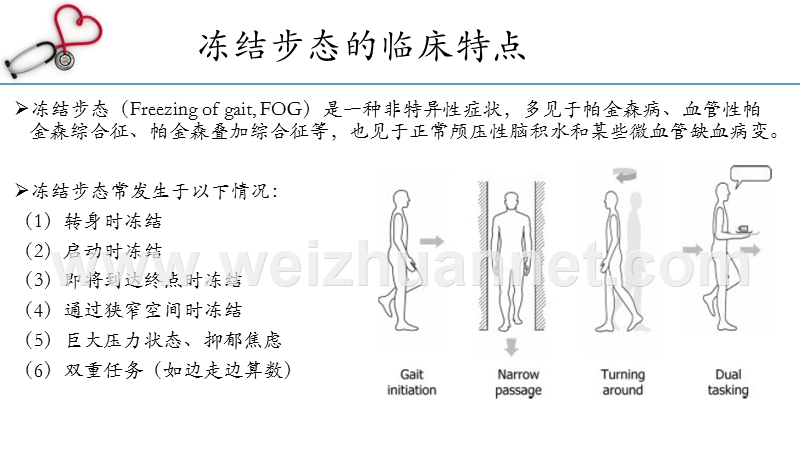 浅析冻结步态.pptx_第3页