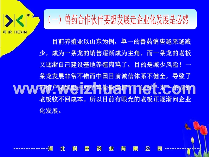 浅谈兽药合作伙伴的企业化发展思路.ppt_第3页