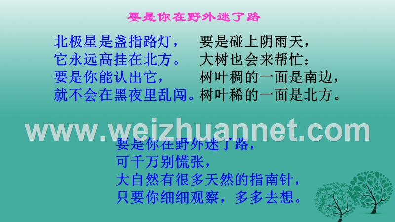 八年级语文上册 第四单元课《大自然的语言》课件 新人教版.ppt_第2页