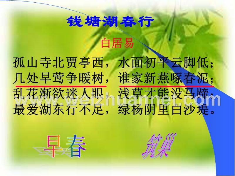 第三节-鸟的生殖和发育.ppt_第2页