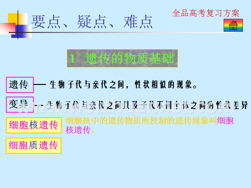 高二生物课件--遗传和变异.ppt_第2页