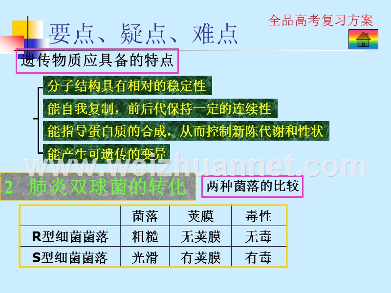 高二生物课件--遗传和变异.ppt_第3页