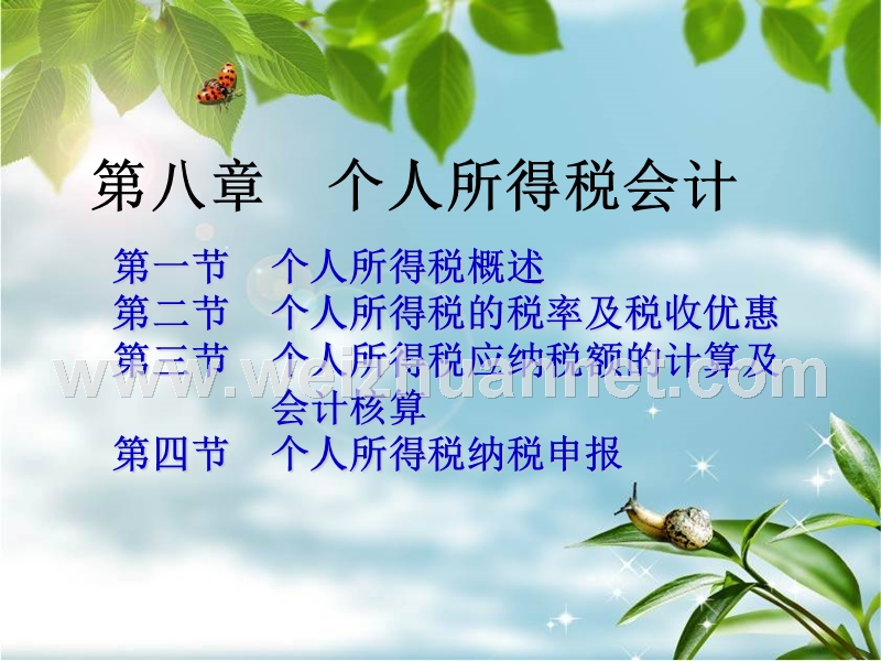 第8章-个人所得税税会计.ppt_第1页