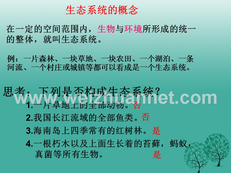 七年级生物上册 第一单元 第二章 第二节 生物与环境组成生态系统课件3 （新版）新人教版.ppt_第3页