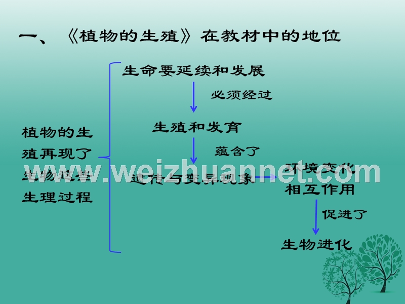 九年级生物 植物的生殖专题复习课件 新人教版.ppt_第3页