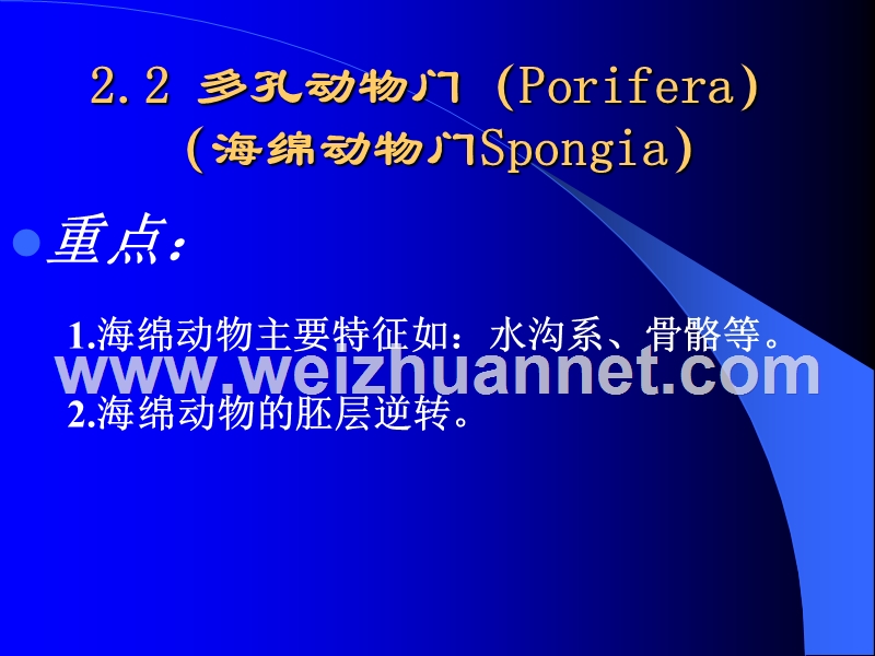 多孔动物门(porifera)(海绵动物门spongia.ppt_第2页