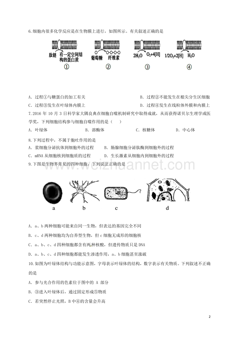 北京市昌平临川育人学校2017届高三生物12月月考试题.doc_第2页