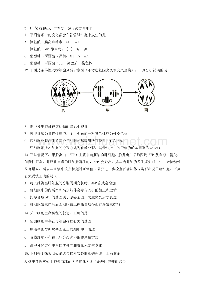 北京市昌平临川育人学校2017届高三生物12月月考试题.doc_第3页