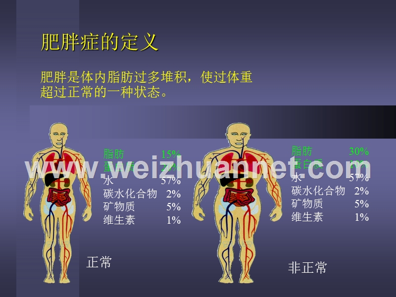 减肥与营养.ppt_第2页