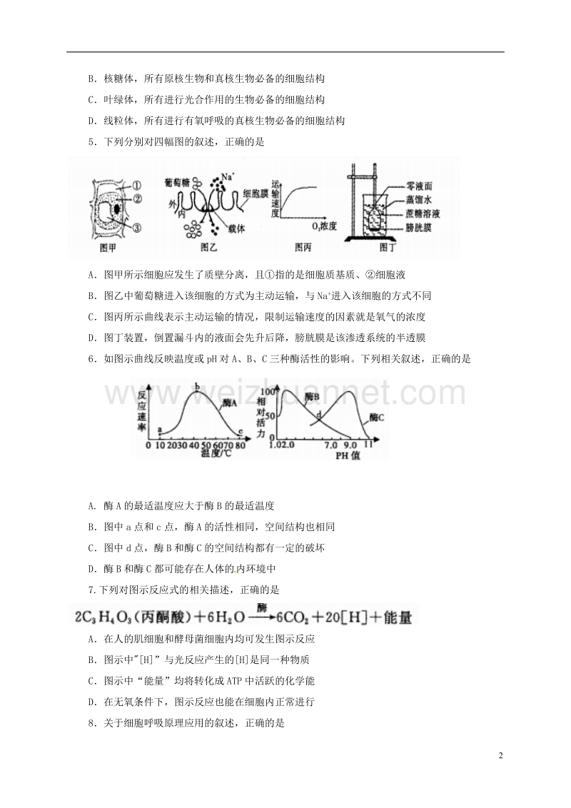 福建省福州市第八中学2017届高三生物上学期第四次质量检查试题.doc_第2页