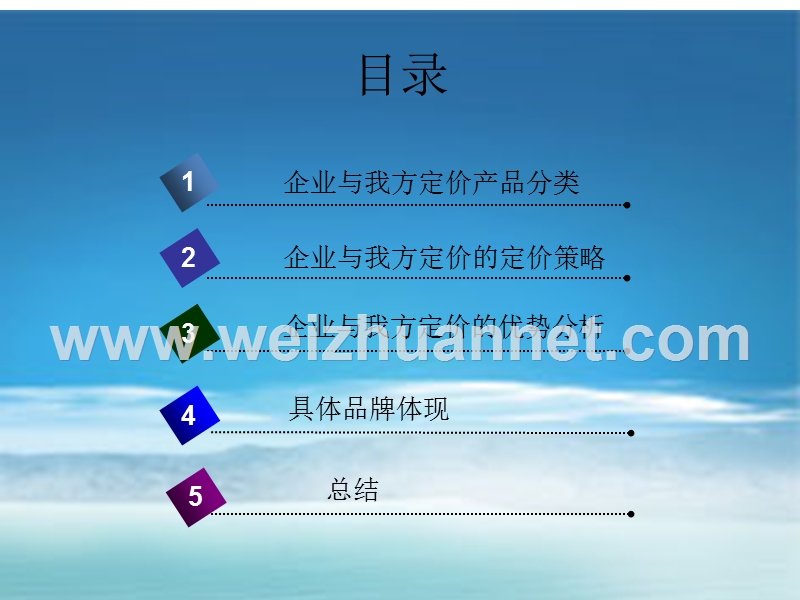 定价方案ppt.ppt_第2页