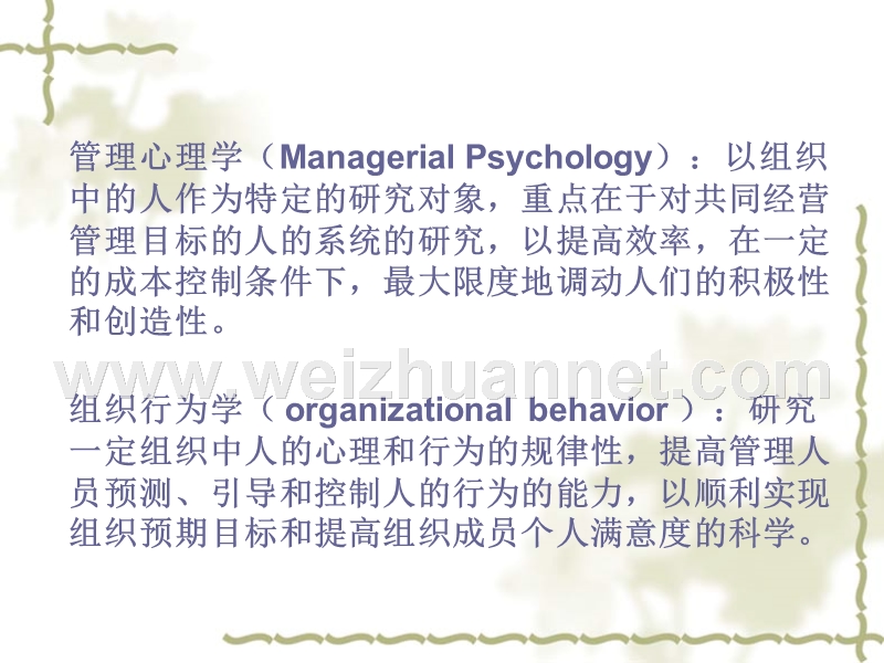 管理心理与行为学.ppt_第2页