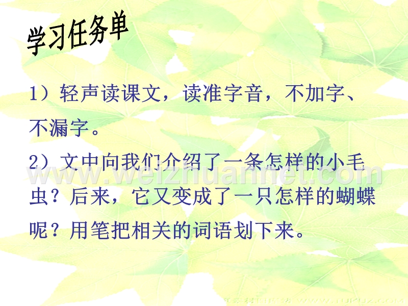 小毛虫课件.ppt_第3页