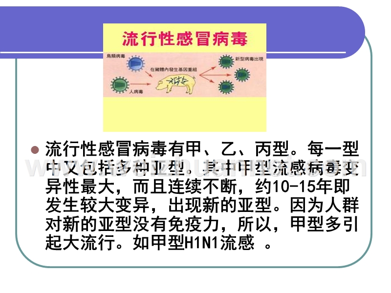 夏季常见疾病的预防.ppt_第3页