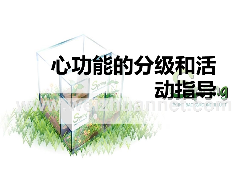 心功能的分级和活动指导.ppt_第1页