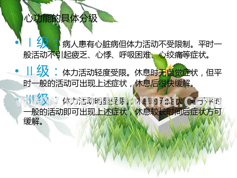 心功能的分级和活动指导.ppt_第3页