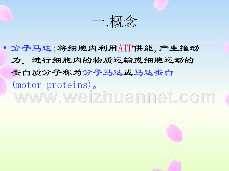 分子马达.ppt_第2页