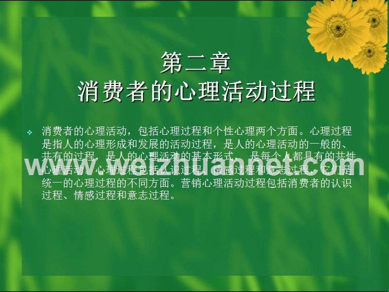 消费者的心理活动过程.ppt_第1页