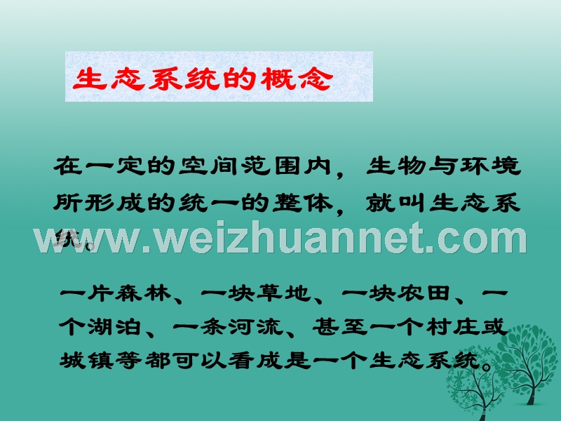 七年级生物上册 第一单元 第二章 第三节 生物圈是最大的生态系统课件1 （新版）新人教版.ppt_第3页