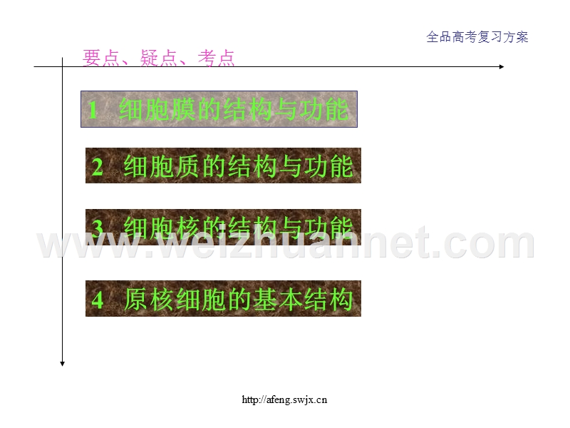 高一生物细胞的结构和功能1.ppt_第2页