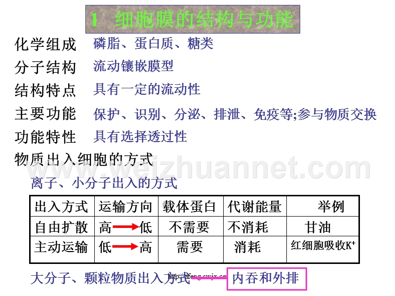 高一生物细胞的结构和功能1.ppt_第3页