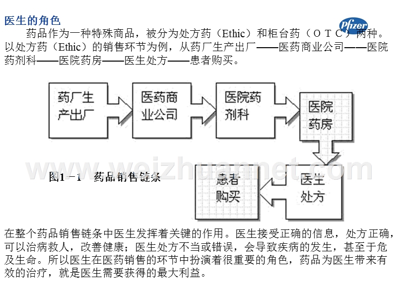 辉瑞(医药代表实战全攻略)02.ppt_第3页