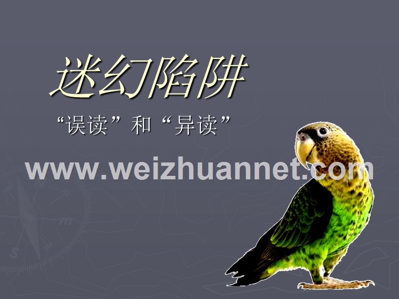 迷幻陷阱1.ppt_第1页