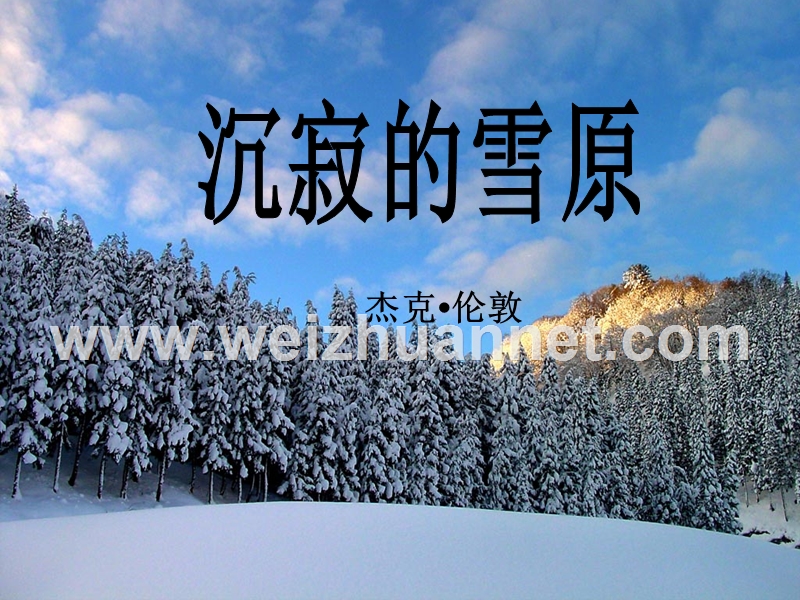 吉林省双辽市第五中学八年级语文上册 14《沉寂的雪原》课件 长春版.ppt_第1页