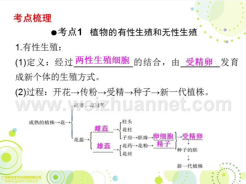 广东省中山市人教版2016年初中生物中考精美复习课件-第七单元-生物圈中生命的延续和发展-第1课时.ppt.ppt_第2页