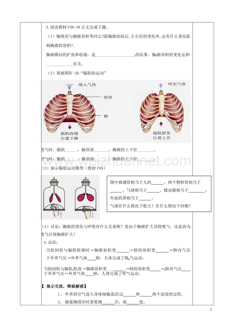 八年级生物上册 第四单元 第三章 第二节 发生在肺内的气体交换教学案（无答案） 鲁科版.doc_第2页