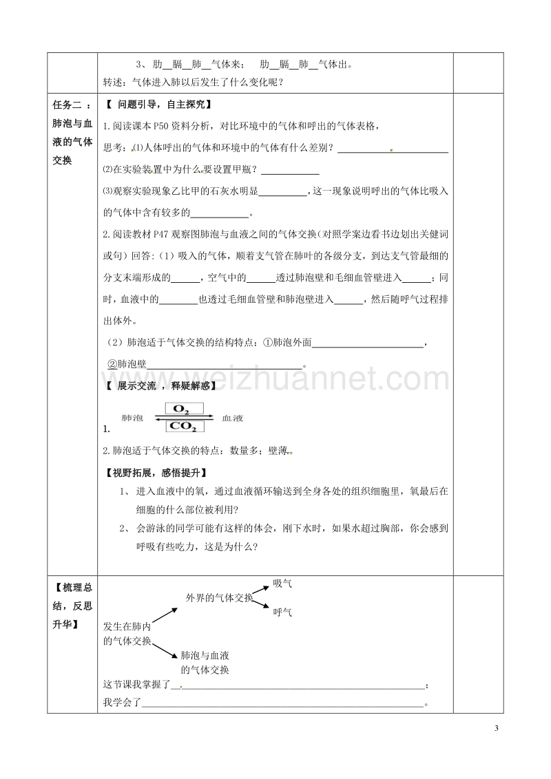 八年级生物上册 第四单元 第三章 第二节 发生在肺内的气体交换教学案（无答案） 鲁科版.doc_第3页