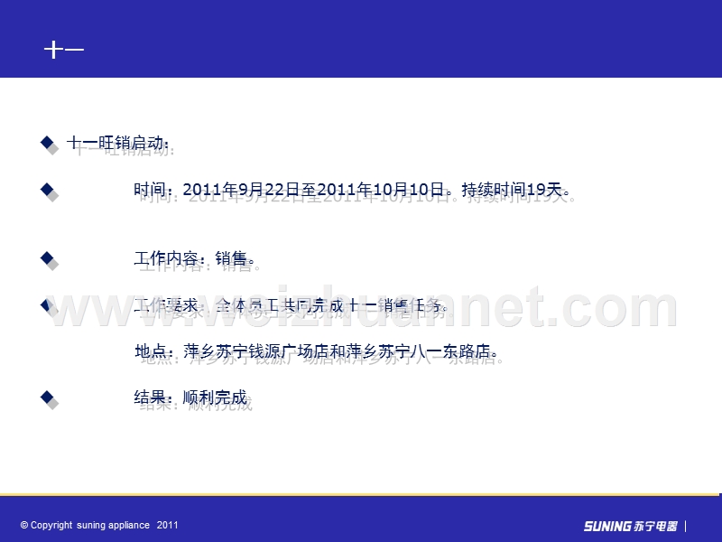 苏宁电器十一总结.ppt_第2页