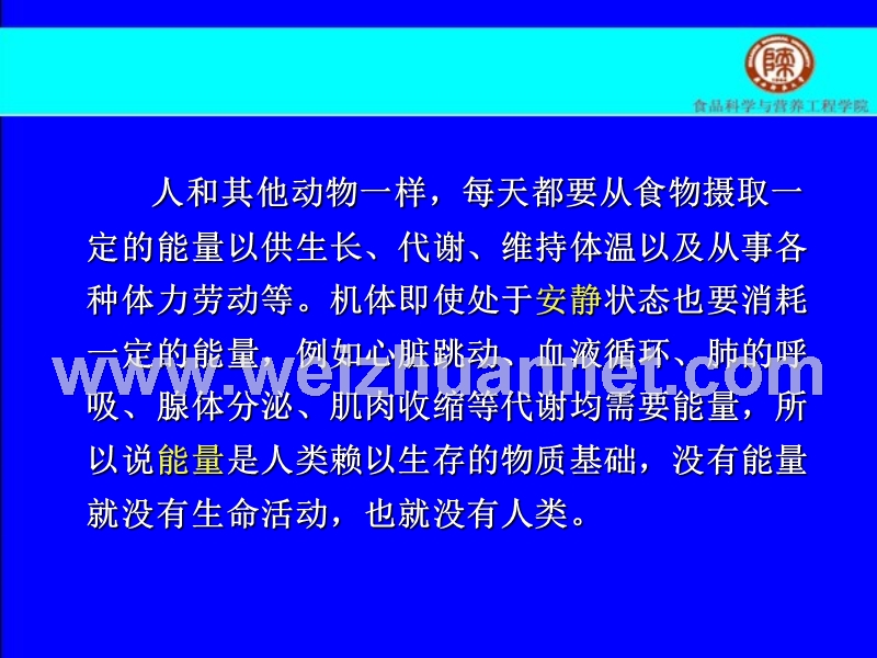 第三章---能---量.ppt_第3页