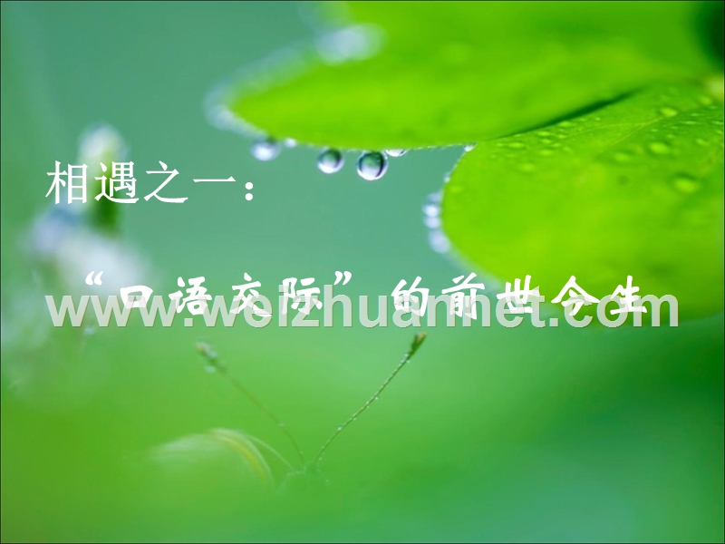 口语交际讲座课件.ppt_第2页