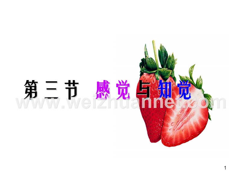 感觉与知觉.ppt_第1页