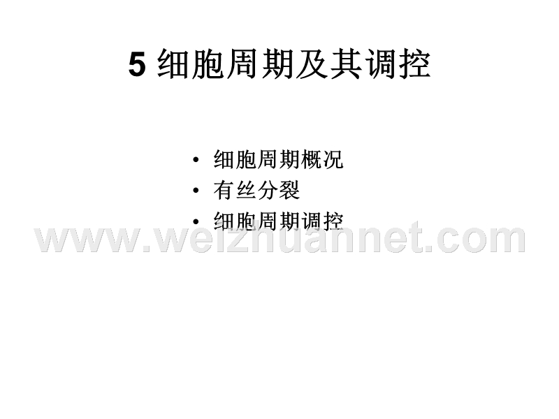 细胞周期及其调控.ppt_第1页