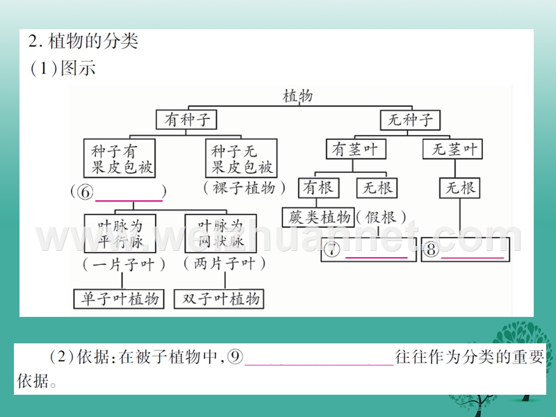 【掌控中考】（广西玉林）2017春中考生物 第6单元 生物的多样性及其保护复习课件.ppt_第3页