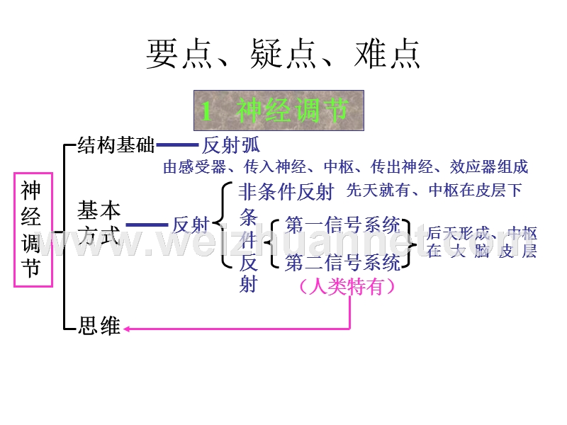 第四课-生命活动的调节.ppt_第2页