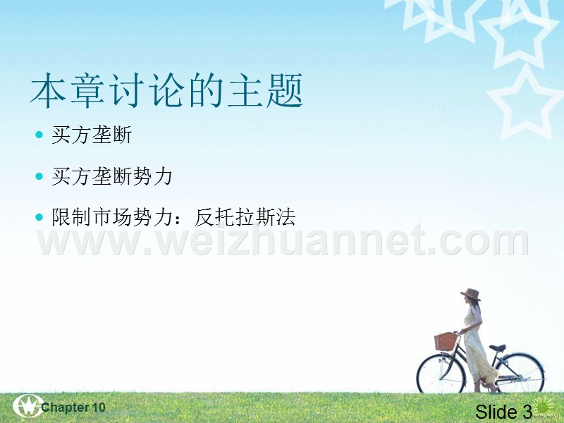 微观经济学.ppt_第3页