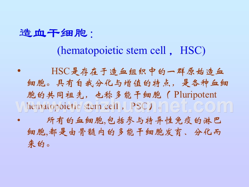 淋巴细胞库的发育.ppt_第2页