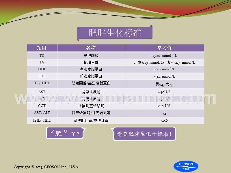 紫怡胶囊减肥宣传手册(更新)-1(1).ppt_第2页