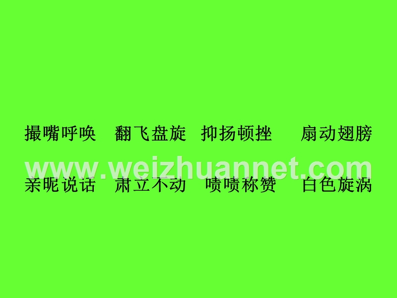 老人与海鸥--ppt.ppt_第2页