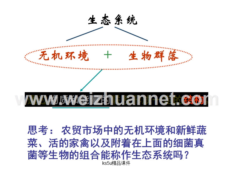 高二生物生态系统的结构(1).ppt_第3页