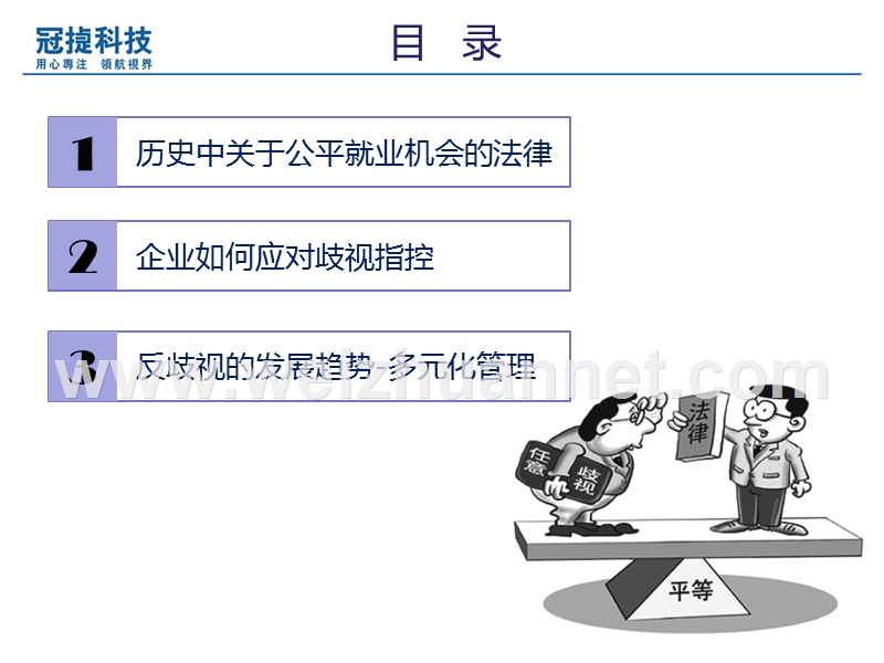 公平就业机会和相关法律.pptx_第2页