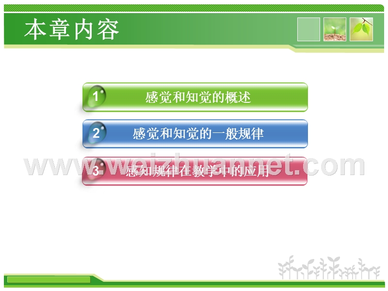 第三章感觉、知觉与教学.ppt_第2页