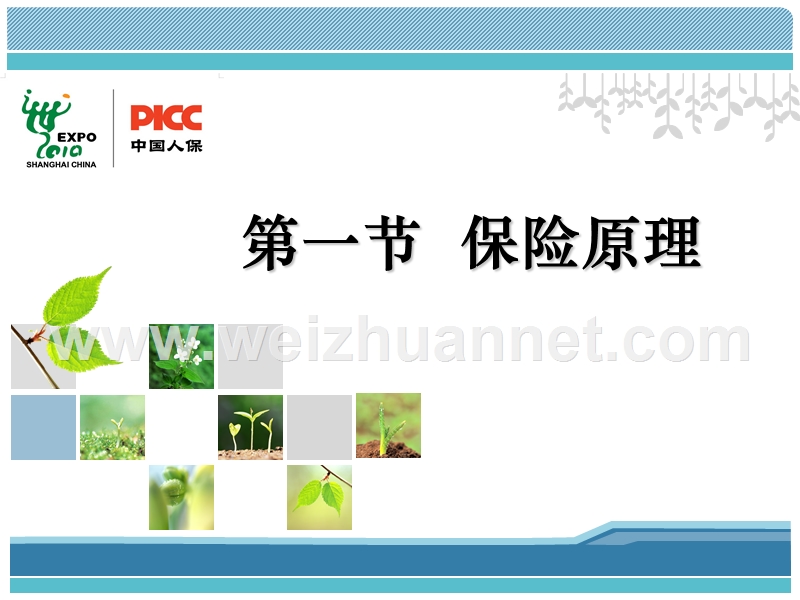 保险基础知识.ppt_第1页