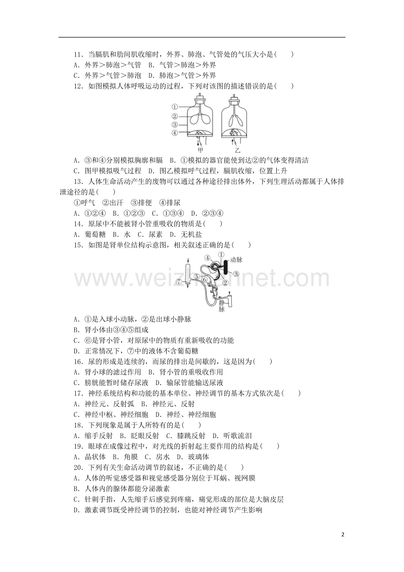 2018学年七年级生物下册 期末检测卷 （新版）北师大版.doc_第2页